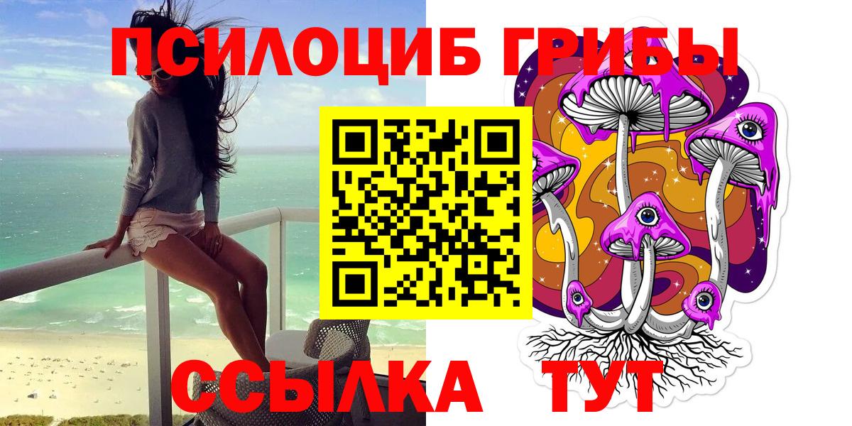 Галлюциногенные грибы Cubensis Осинники