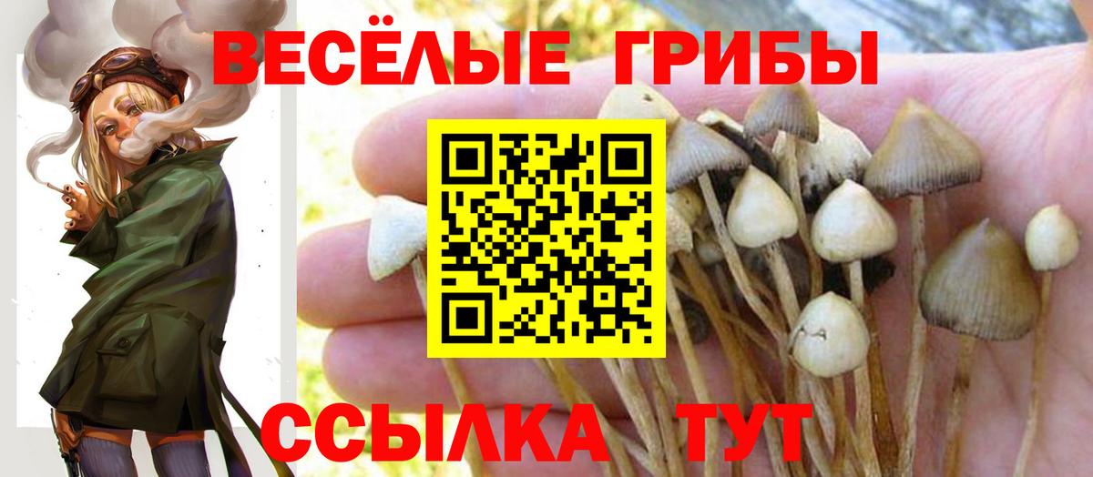Осинники  Галлюциногенные грибы Psilocybe  Галлюциногенные грибы Magic Shrooms  Вход с VPN 