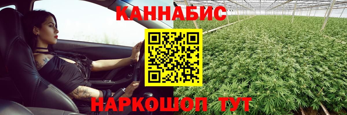 Осинники  Каннабис OG Kush  Каннабис SATIVA & INDICA  Канабис LSD WEED  Конопля ГИДРОПОН  Вход с VPN 